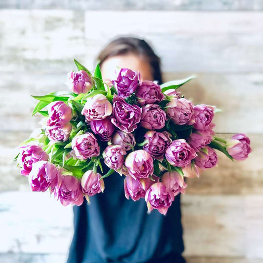 Comprar Tulipanes en Barcelona
