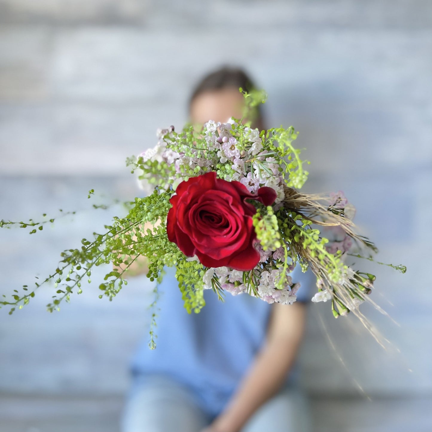 Rosa de Sant Jordi para el 23 de Abril
