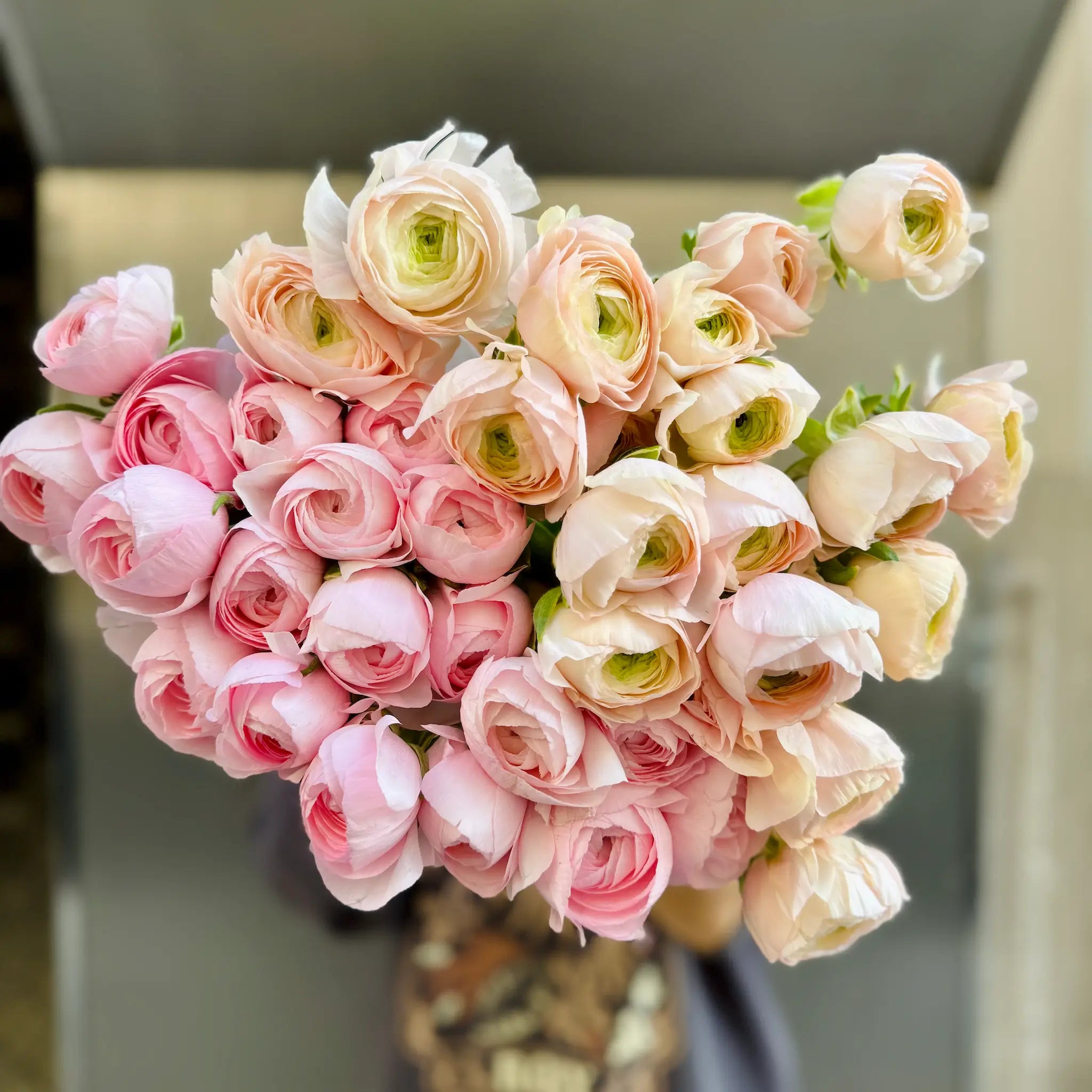 Ramo Ranunculus Ramo de Ranúnculos Clooney a Domicilio en Barcelona – Florster