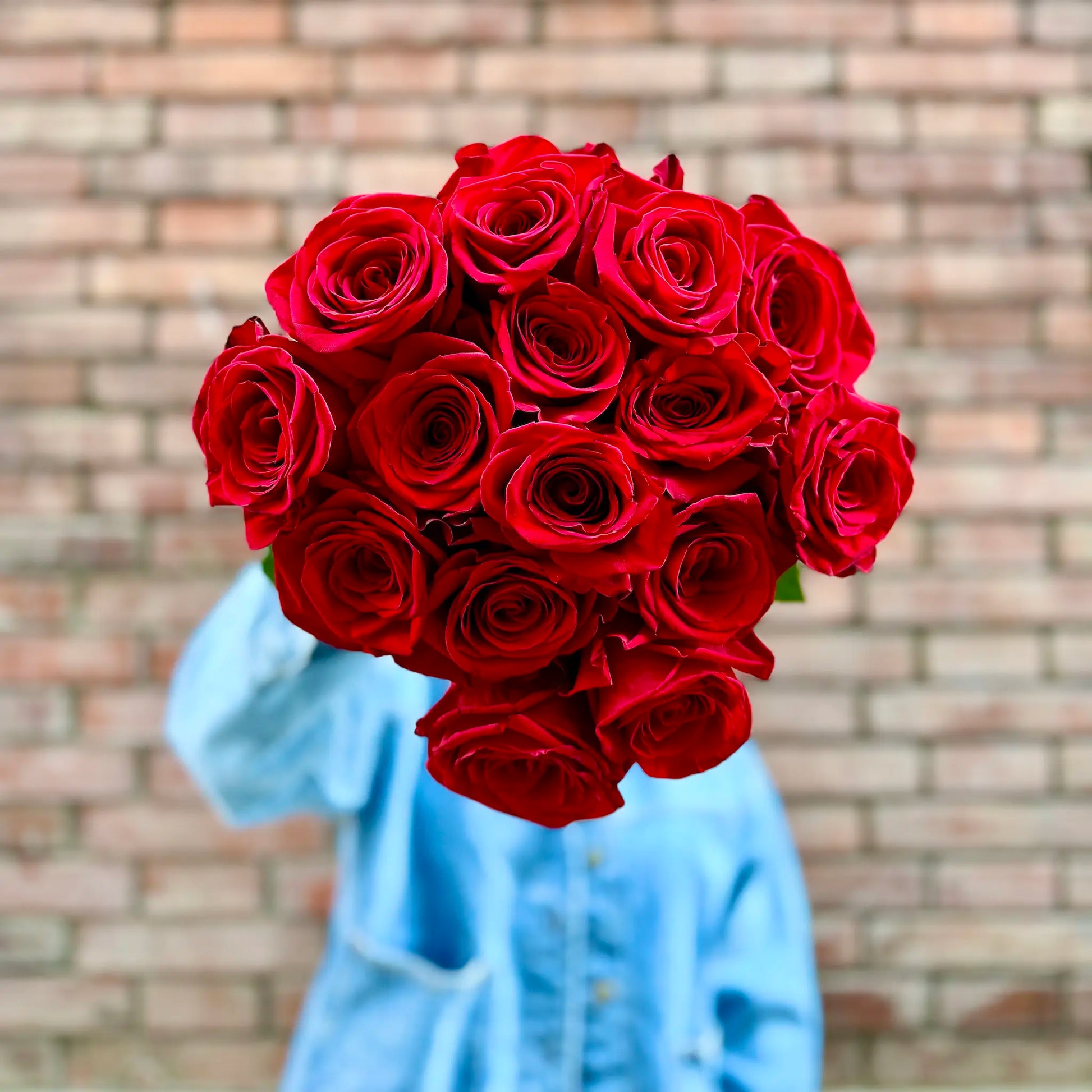 Ramo de rosas rojas sostenido por una persona que viste una chaqueta de jean azul frente a una pared de ladrillos