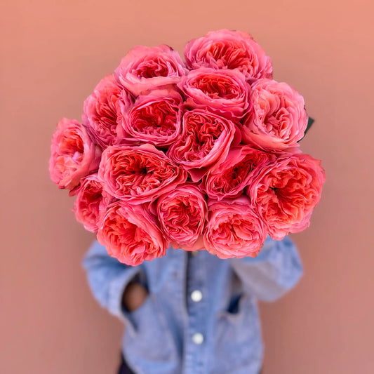 Vista frontal de rosas de jardín color coral – Detalle del interior de la flor de Florster Barcelona