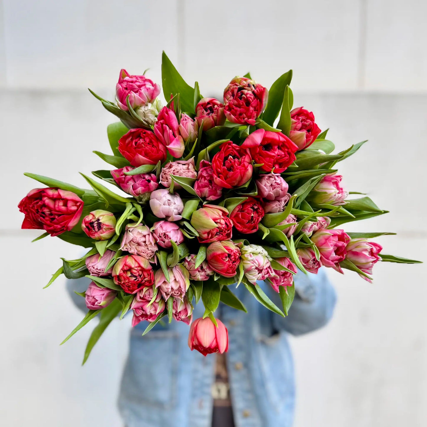Tulipanes rojos y rosados dobles